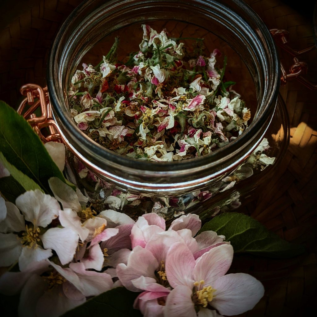 Apple Blossom Herbal tea 