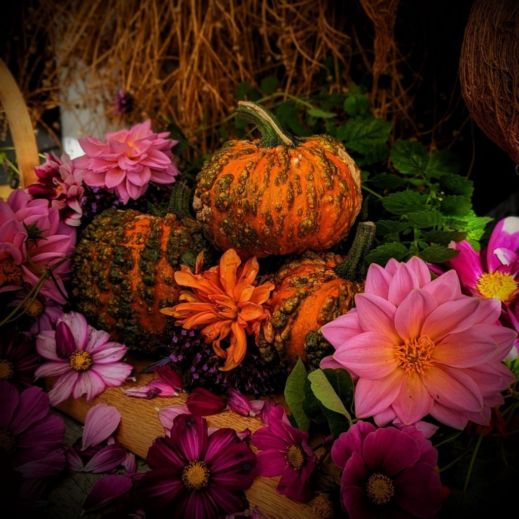Zombie warty pumpkins 