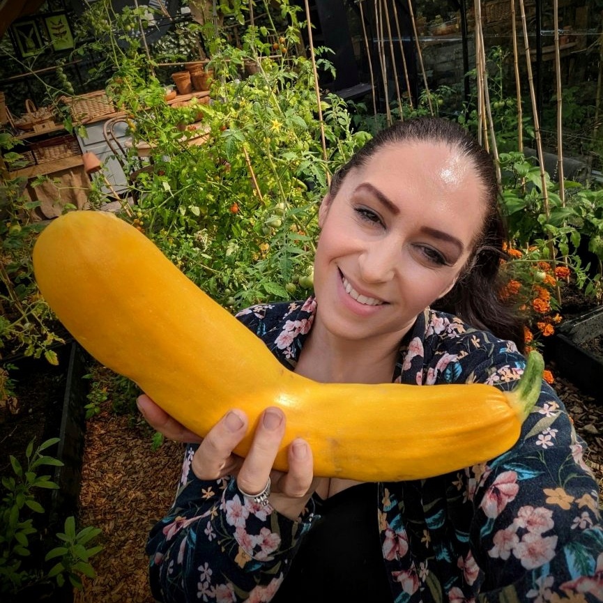Giant Courgette