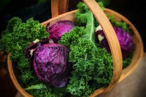 How To Grow Red Cabbage in your Garden