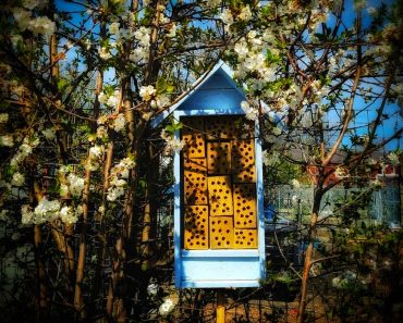 How To Build a Bee Hotel from Pallet Wood