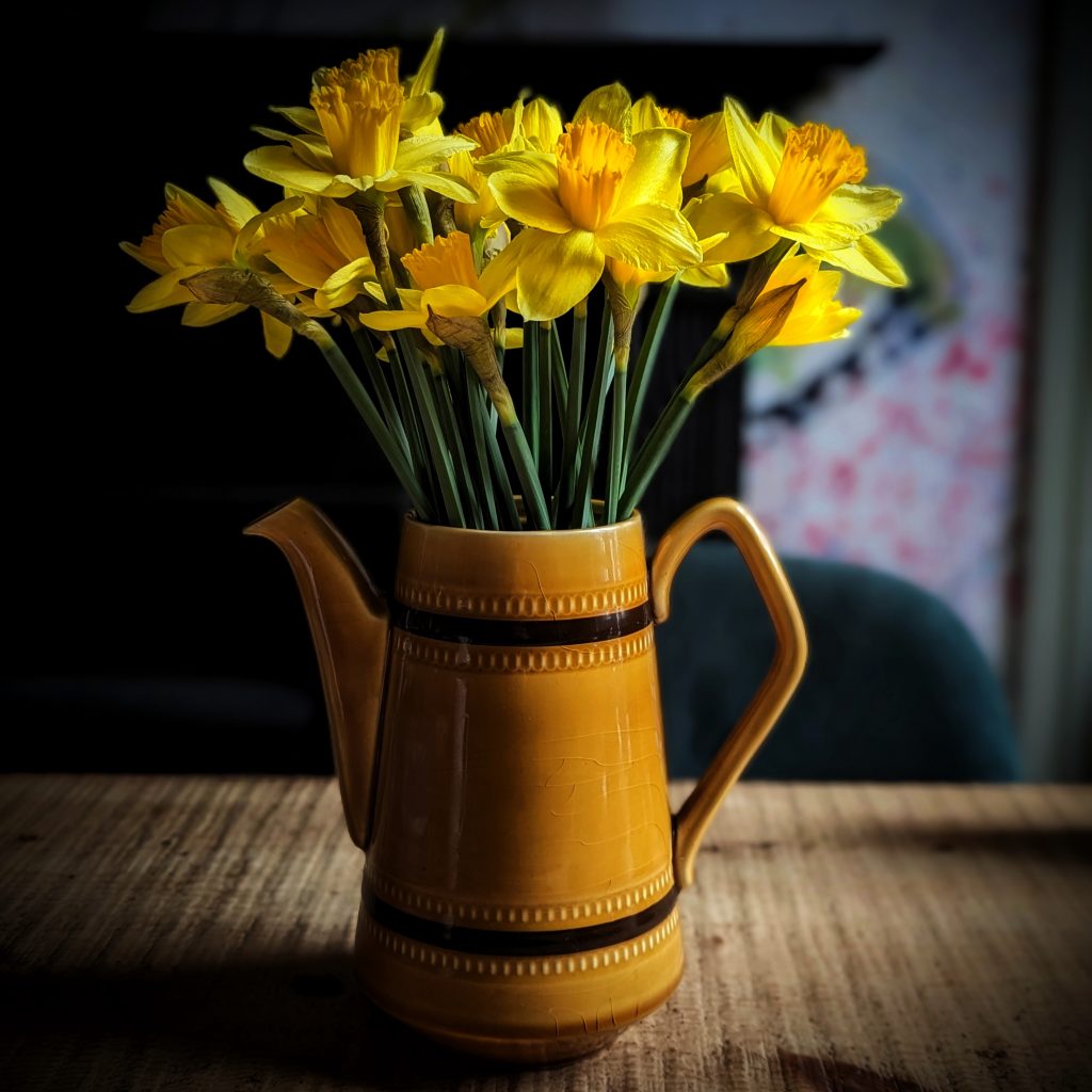 How To Grow Daffodils