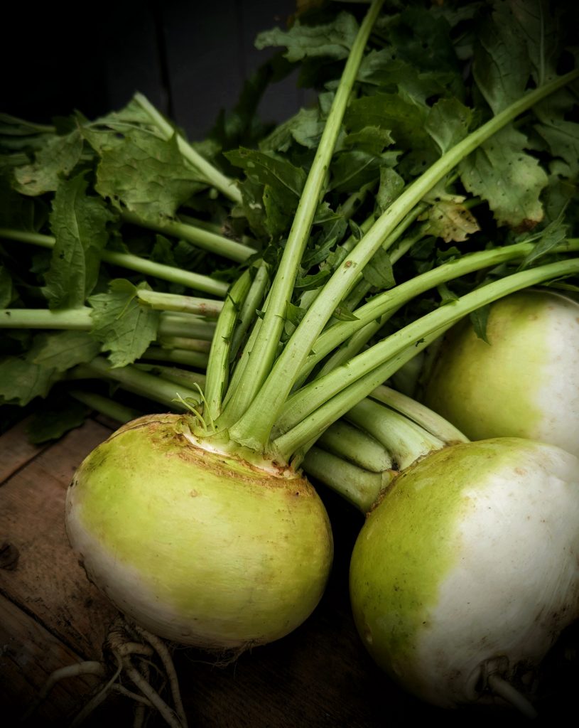Norfolk green turnips