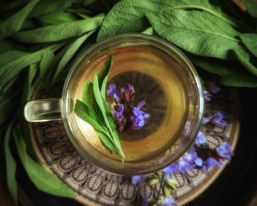 How To Grow Sage and Make Sage Tea and 7 ways it can heal!
