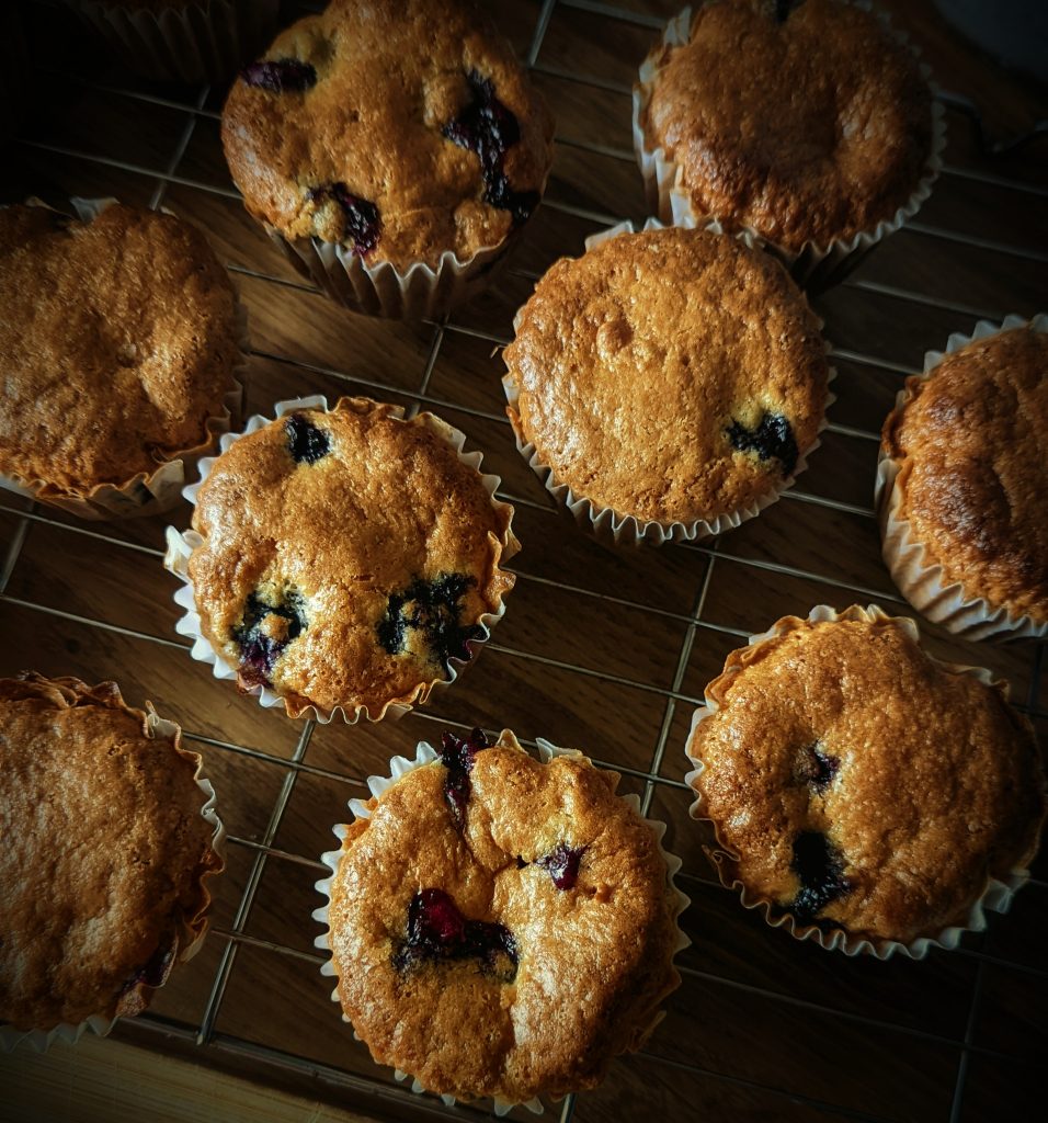 Blueberry muffin recipe 