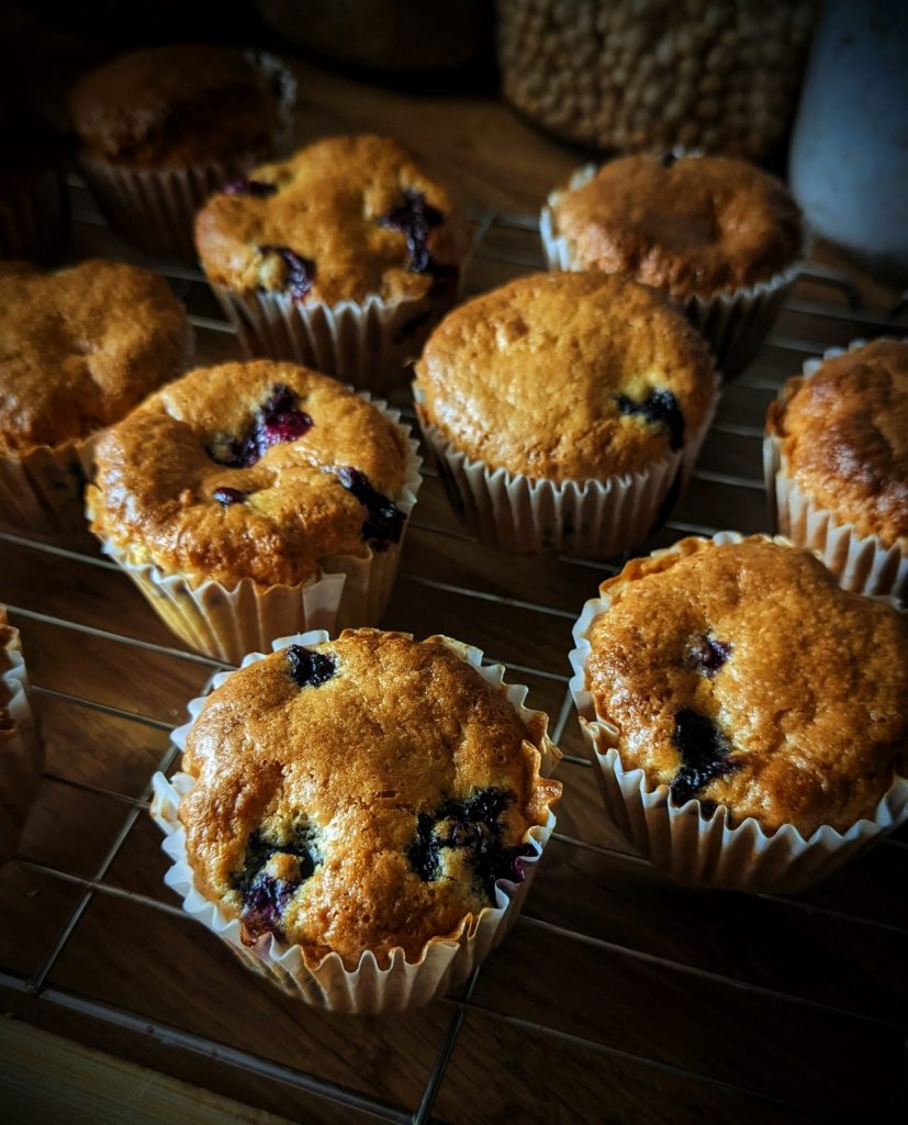 Blueberry muffin recipe 