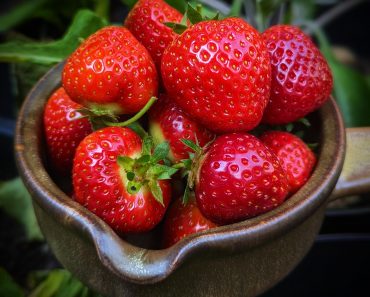 How To Grow Strawberries from Seed, Roots And Runners!