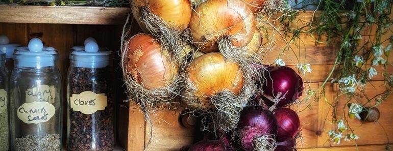 How To Store Onions So They Last Longer
